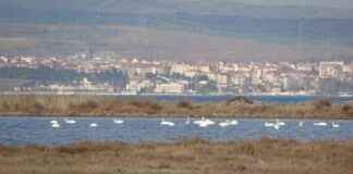 Çanakkale’deki Kuş Popülasyonu ve İklim Değişikliği Etkileşimi anakkaledeki-ku-poplasyonu-ve-iklim-deiiklii-etkileimi
