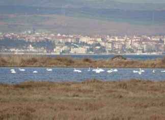 Çanakkale’deki Kuş Popülasyonu ve İklim Değişikliği Etkileşimi anakkaledeki-ku-poplasyonu-ve-iklim-deiiklii-etkileimi