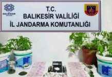 Balıkesir’de Jandarma Operasyonlarında 29 Gözaltı Olayı – Detaylı Haber ve İnceleme balkesirde-jandarma-operasyonlarnda-29-gzalt-olay-detayl-haber-ve-inceleme