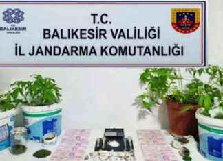 Balıkesir’de Jandarma Operasyonlarında 29 Gözaltı Olayı – Detaylı Haber ve İnceleme balkesirde-jandarma-operasyonlarnda-29-gzalt-olay-detayl-haber-ve-inceleme