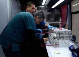 Balıkesir’de Sokak Hayvanları için Can Dost Projesi başlıyor balkesirde-sokak-hayvanlar-iin-can-dost-projesi-balyor