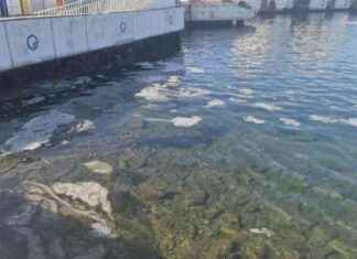 Balıkçılar İstanbul’daki Müsilaj Sorunundan Endişeli balklar-istanbuldaki-msilaj-sorunundan-endieli