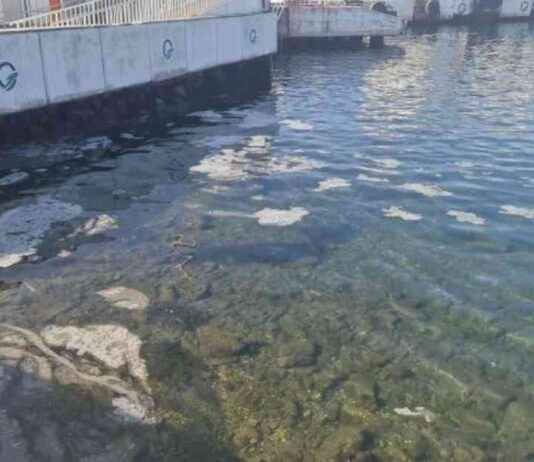 Balıkçılar İstanbul’daki Müsilaj Sorunundan Endişeli balklar-istanbuldaki-msilaj-sorunundan-endieli