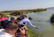 Edirne’de 2024 Yılında 10 Milyon Sazan Balığı Yavrusu Üretimi edirnede-2024-ylnda-10-milyon-sazan-bal-yavrusu-retimi