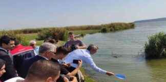 Edirne’de 2024 Yılında 10 Milyon Sazan Balığı Yavrusu Üretimi edirnede-2024-ylnda-10-milyon-sazan-bal-yavrusu-retimi