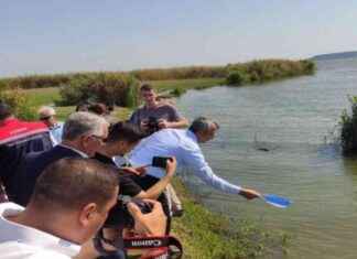 Edirne’de 2024 Yılında 10 Milyon Sazan Balığı Yavrusu Üretimi edirnede-2024-ylnda-10-milyon-sazan-bal-yavrusu-retimi