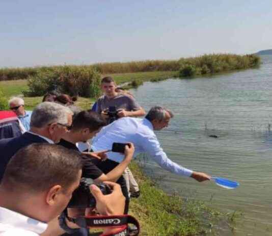 Edirne’de 2024 Yılında 10 Milyon Sazan Balığı Yavrusu Üretimi edirnede-2024-ylnda-10-milyon-sazan-bal-yavrusu-retimi