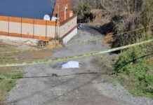 Emekli Polis Tutuklandı: Arazi Anlaşmazlığı Kardeş Katliyle Sonuçlandı emekli-polis-tutukland-arazi-anlamazl-karde-katliyle-sonuland