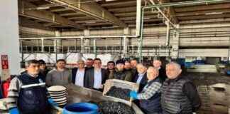 Kaymakam Karaman, Marmarabirlik İznik Zeytin Kooperatifi Ziyareti kaymakam-karaman-marmarabirlik-iznik-zeytin-kooperatifi-ziyareti