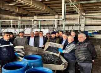 Kaymakam Karaman, Marmarabirlik İznik Zeytin Kooperatifi Ziyareti kaymakam-karaman-marmarabirlik-iznik-zeytin-kooperatifi-ziyareti