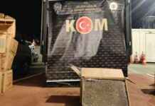 Yalova’da 3 Milyon Adet Dolu Makaron Bulundu – Haber Detayları ve Son Dakika Bilgileri yalovada-3-milyon-adet-dolu-makaron-bulundu-haber-detaylar-ve-son-dakika-bilgileri