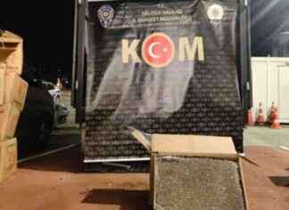 Yalova’da 3 Milyon Adet Dolu Makaron Bulundu – Haber Detayları ve Son Dakika Bilgileri yalovada-3-milyon-adet-dolu-makaron-bulundu-haber-detaylar-ve-son-dakika-bilgileri