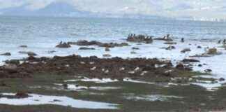 Burhaniye’de Deniz Çekilerek Antik Liman Keşfedildi burhaniyede-deniz-ekilerek-antik-liman-kefedildi