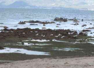 Burhaniye’de Deniz Çekilerek Antik Liman Keşfedildi burhaniyede-deniz-ekilerek-antik-liman-kefedildi