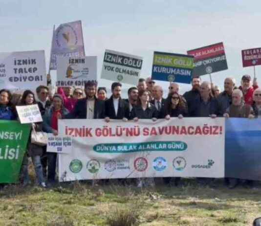 İznik Gölü’ndeki Kuraklık: Dünya Sulak Alanlar Günü’nde Dikkat Çekici iznik-glndeki-kuraklk-dnya-sulak-alanlar-gnnde-dikkat-ekici