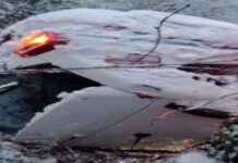 Kocaeli’de Jandarma Aracı Şarampole Yuvruldu: 2 Yaralı kocaelide-jandarma-arac-arampole-yuvruldu-2-yaral