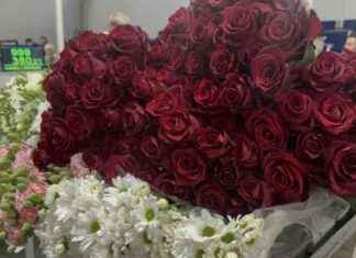 Yalova Çiçek Mezadında ’14 Şubat’ Yoğunluğu: Gül Stoku Tükeniyor yalova-iek-mezadnda-14-ubat-younluu-gl-stoku-tkeniyor