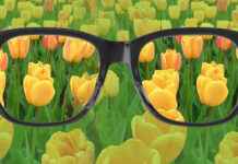 Renk Körlüğü: Sebepleri, Testleri ve Günlük Hayattaki Etkileri renk körlüğü, renk körlüğü testi, renk körlüğü gözlüğü, renk körlüğü nedir, renk körlüğü lensi, renk körlüğü tedavisi, renk körlüğü çeşitleri