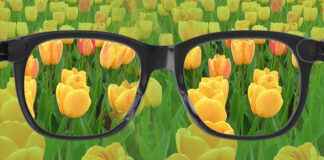 Renk Körlüğü: Sebepleri, Testleri ve Günlük Hayattaki Etkileri renk körlüğü, renk körlüğü testi, renk körlüğü gözlüğü, renk körlüğü nedir, renk körlüğü lensi, renk körlüğü tedavisi, renk körlüğü çeşitleri