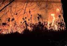 Bursa İznik Gölü Sazlık Yangını: Son Durum ve Güncel Haber bursa-iznik-gl-sazlk-yangn-son-durum-ve-gncel-haber