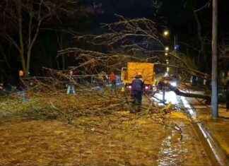 Edirne’de Sağanak Yağmur Etkili Oldu edirnede-saanak-yamur-etkili-oldu