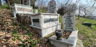 Evcil Hayvanlar İçin Özel Mezar Yeri Bulundu evcil-hayvanlar-iin-zel-mezar-yeri-bulundu