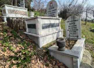 Evcil Hayvanlar İçin Özel Mezar Yeri Bulundu evcil-hayvanlar-iin-zel-mezar-yeri-bulundu