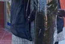 Balıkesir’de Metruk Binada Yangın: 1 Kişi ve 1 Köpek Öldü balkesirde-metruk-binada-yangn-1-kii-ve-1-kpek-ld