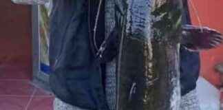 Balıkesir’de Metruk Binada Yangın: 1 Kişi ve 1 Köpek Öldü balkesirde-metruk-binada-yangn-1-kii-ve-1-kpek-ld