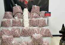 Kocaeli’de 397 Bin Adet Sentetik Ecza Hapı Ele Geçirildi kocaelide-397-bin-adet-sentetik-ecza-hap-ele-geirildi