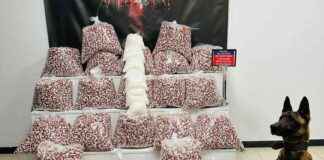 Kocaeli’de 397 Bin Adet Sentetik Ecza Hapı Ele Geçirildi kocaelide-397-bin-adet-sentetik-ecza-hap-ele-geirildi