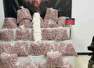 Kocaeli’de 397 Bin Adet Sentetik Ecza Hapı Ele Geçirildi kocaelide-397-bin-adet-sentetik-ecza-hap-ele-geirildi