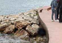 Sahilde erkek cesedi bulundu: Detaylar haberimizde sahilde-erkek-cesedi-bulundu-detaylar-haberimizde