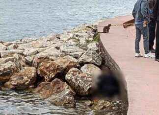 Sahilde erkek cesedi bulundu: Detaylar haberimizde sahilde-erkek-cesedi-bulundu-detaylar-haberimizde