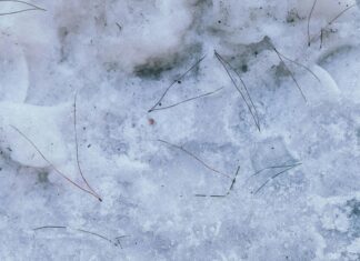 Çorlu Nereye Bağlı? Bu İlçenin Sırları ve Özellikleri Neler?