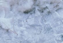 Çorlu Alışveriş: Vatan Bilgisayar’da Neler Kaçırılmamalı?