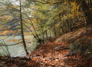 Çorlu Yol Tarifi: Hızlı ve Kolay Ulaşım Yöntemleri Nelerdir?