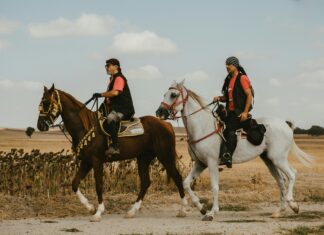 Freemeteo Çorlu Hava Durumu: Hangi Sıcaklıkları Beklemeliyiz?