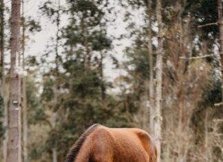 Çorlu’da Ölüm Haberleri: Şok Edici Olaylar ve Gerçekler Neler?