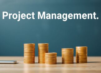 Para Yönetimi: Benim Kişisel Deneyimlerim ve İpuçlarım Project Management: My Personal Experiences and Tips